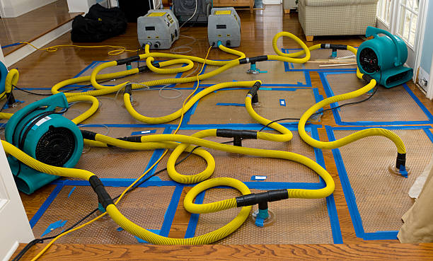Professional Water Damage Restoration technician working in Trinidad, TX